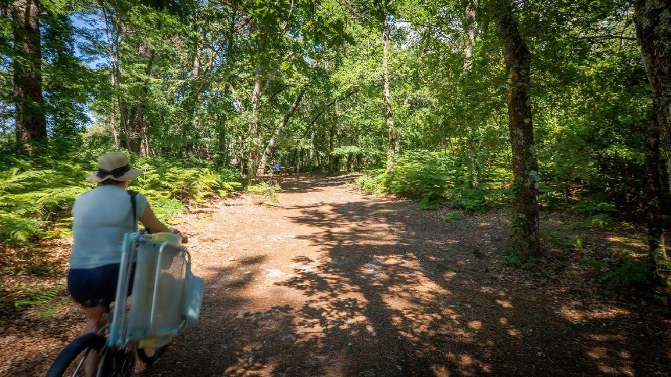 Camping Арес Екстериор снимка